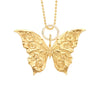 Butterfly for Renewal