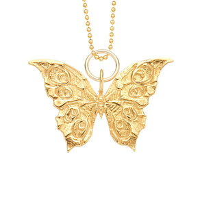 Butterfly for Renewal