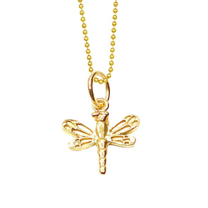 Dragonfly for Renewal