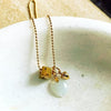 Acorn for Renewal