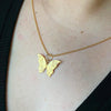 Butterfly for Renewal