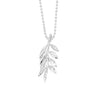 Olive Branch for Calm