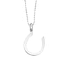 Protection Horseshoe