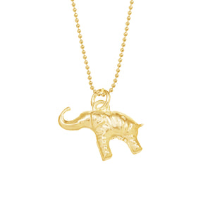 Elephant for Acceptance