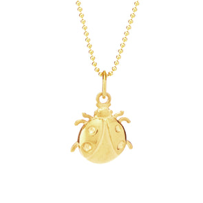 Ladybug for Prosperity