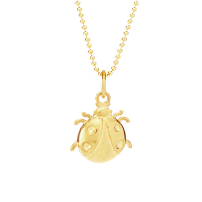 Ladybug for Prosperity