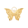 Butterfly for Renewal