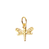 Dragonfly for Renewal