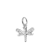 Dragonfly for Renewal