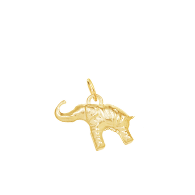 Elephant for Acceptance