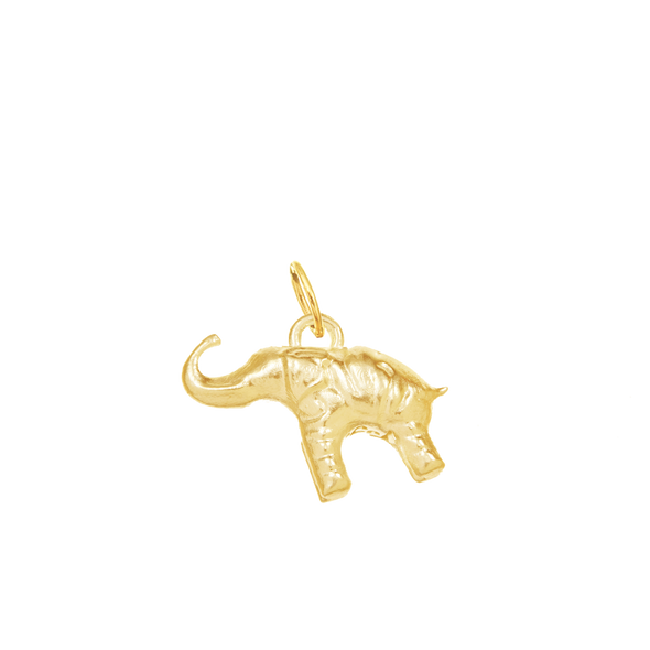 Elephant for Acceptance