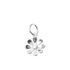 Flower for Renewal