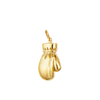 Strength Boxing Glove