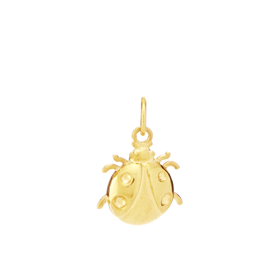 Ladybug for Prosperity