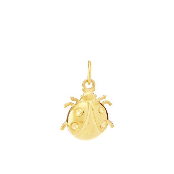 Ladybug for Prosperity