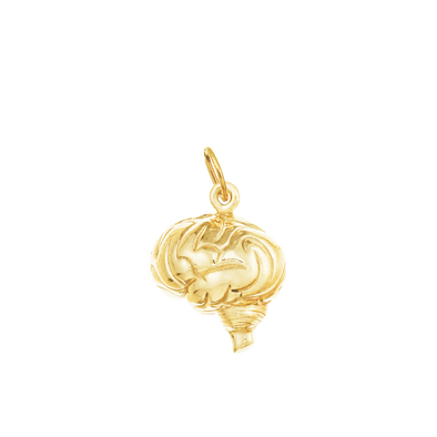 Healing Brain Milagro