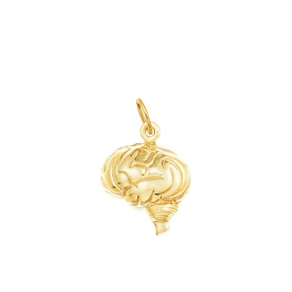 Healing Brain Milagro