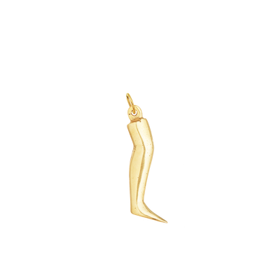 Healing Leg Milagro