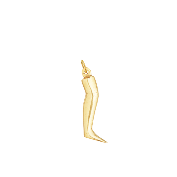 Healing Leg Milagro