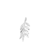 Olive Branch for Calm