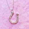 JuJu Horseshoe
