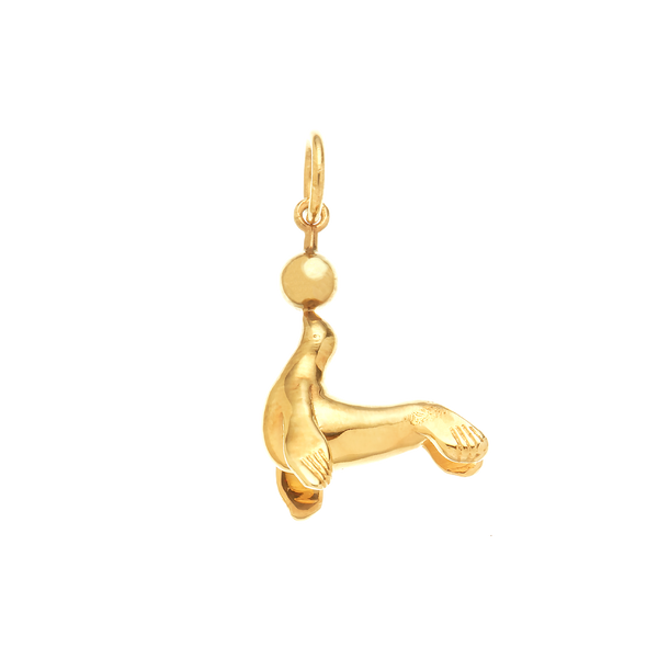 Circus Seal for Balance