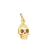 Skull for Renewal