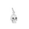 Skull for Renewal