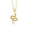 Snake for Renewal
