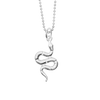 Snake for Renewal